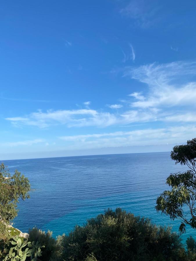 Résidence Casa u fornu LʼÎle-Rousse Esterno foto